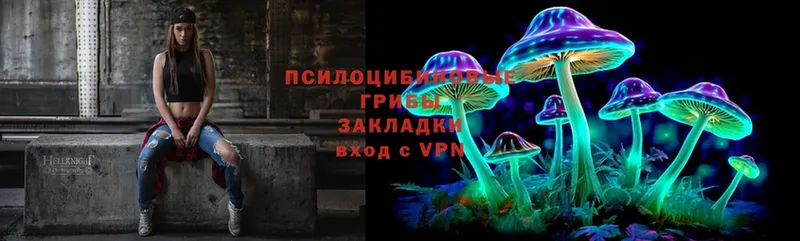 Псилоцибиновые грибы Psilocybe  кракен ССЫЛКА  Нефтегорск  площадка состав  наркота 